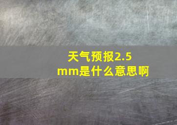 天气预报2.5mm是什么意思啊