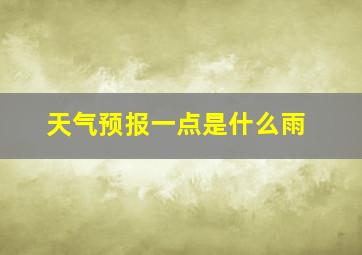 天气预报一点是什么雨