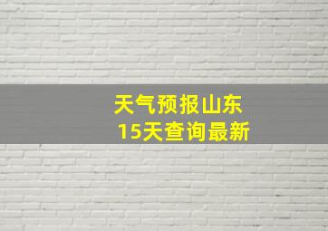 天气预报山东15天查询最新