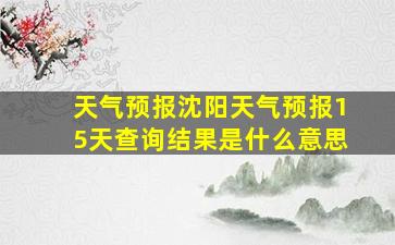 天气预报沈阳天气预报15天查询结果是什么意思