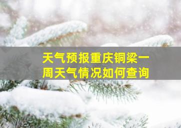 天气预报重庆铜梁一周天气情况如何查询