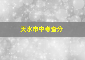 天水市中考查分