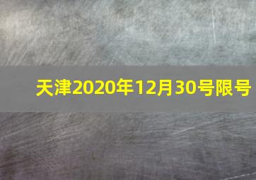 天津2020年12月30号限号