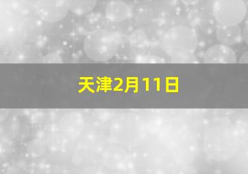 天津2月11日