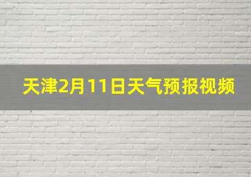 天津2月11日天气预报视频