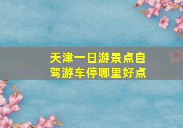 天津一日游景点自驾游车停哪里好点