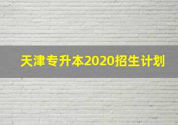 天津专升本2020招生计划