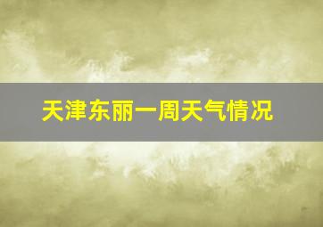 天津东丽一周天气情况