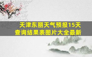 天津东丽天气预报15天查询结果表图片大全最新