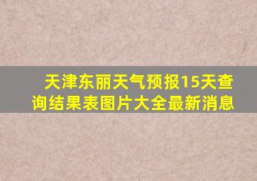 天津东丽天气预报15天查询结果表图片大全最新消息