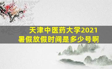 天津中医药大学2021暑假放假时间是多少号啊