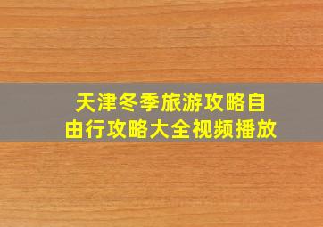 天津冬季旅游攻略自由行攻略大全视频播放