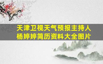 天津卫视天气预报主持人杨婷婷简历资料大全图片