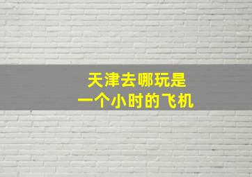 天津去哪玩是一个小时的飞机