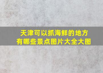 天津可以抓海鲜的地方有哪些景点图片大全大图