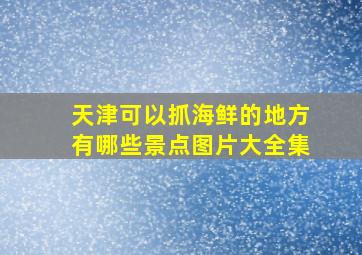 天津可以抓海鲜的地方有哪些景点图片大全集