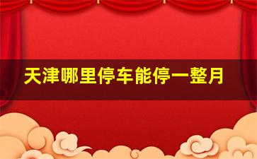 天津哪里停车能停一整月