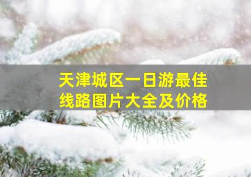 天津城区一日游最佳线路图片大全及价格