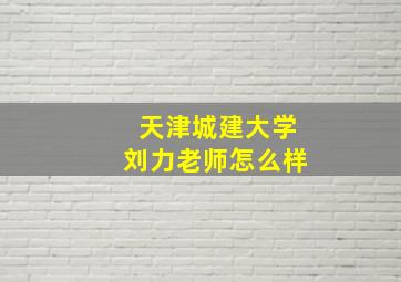 天津城建大学刘力老师怎么样