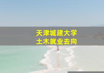 天津城建大学土木就业去向