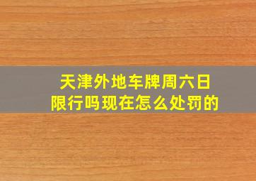 天津外地车牌周六日限行吗现在怎么处罚的