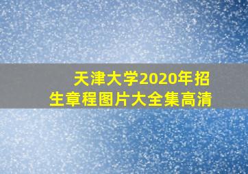 天津大学2020年招生章程图片大全集高清