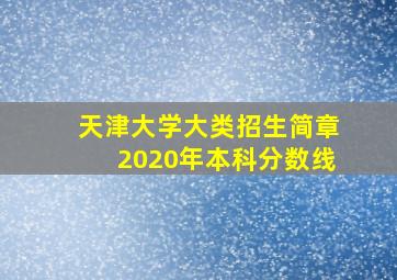 天津大学大类招生简章2020年本科分数线