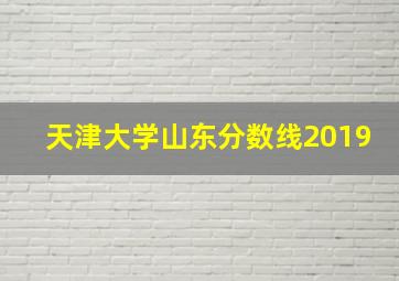 天津大学山东分数线2019