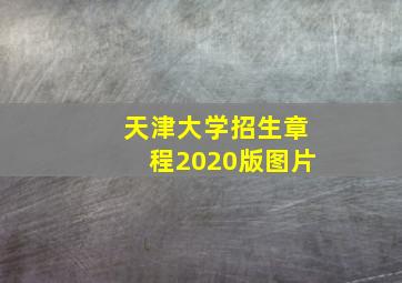 天津大学招生章程2020版图片