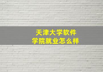 天津大学软件学院就业怎么样