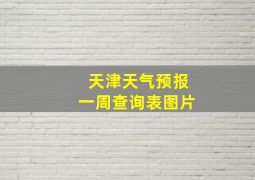 天津天气预报一周查询表图片