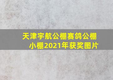 天津宇航公棚赛鸽公棚小棚2021年获奖图片