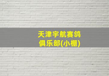 天津宇航赛鸽俱乐部(小棚)