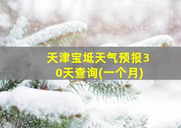 天津宝坻天气预报30天查询(一个月)