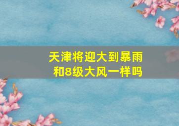 天津将迎大到暴雨和8级大风一样吗