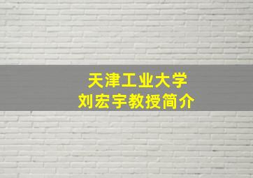 天津工业大学刘宏宇教授简介