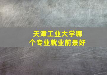 天津工业大学哪个专业就业前景好