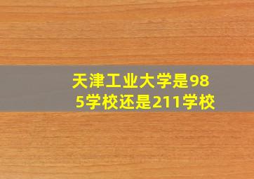 天津工业大学是985学校还是211学校