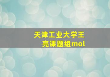 天津工业大学王亮课题组mol