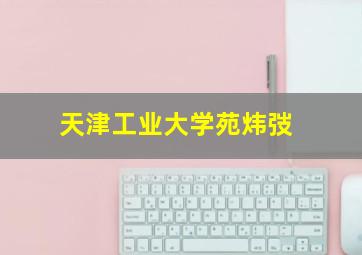 天津工业大学苑炜弢