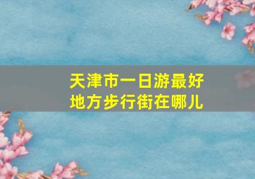 天津市一日游最好地方步行街在哪儿