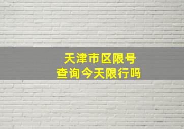 天津市区限号查询今天限行吗