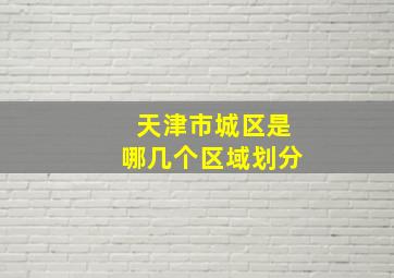 天津市城区是哪几个区域划分