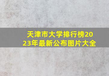 天津市大学排行榜2023年最新公布图片大全