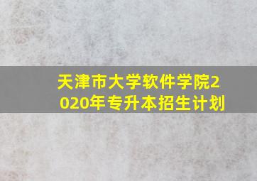 天津市大学软件学院2020年专升本招生计划