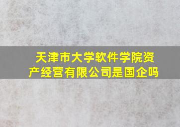 天津市大学软件学院资产经营有限公司是国企吗