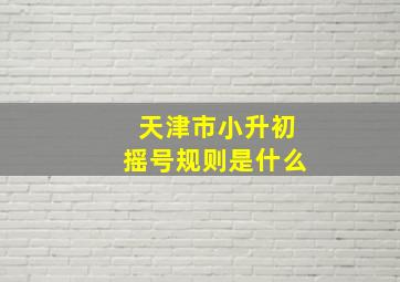 天津市小升初摇号规则是什么