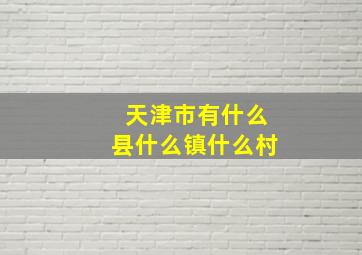 天津市有什么县什么镇什么村