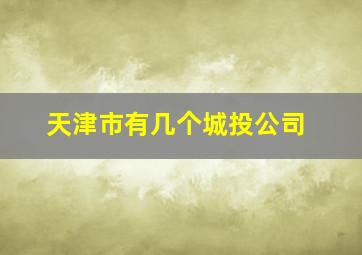 天津市有几个城投公司