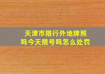 天津市限行外地牌照吗今天限号吗怎么处罚